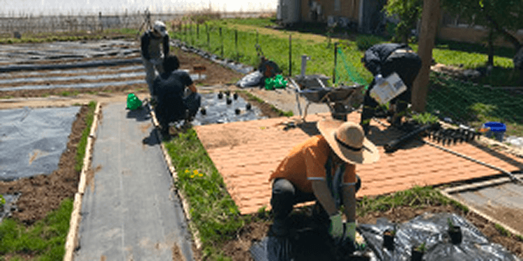 畑作業をする人たち